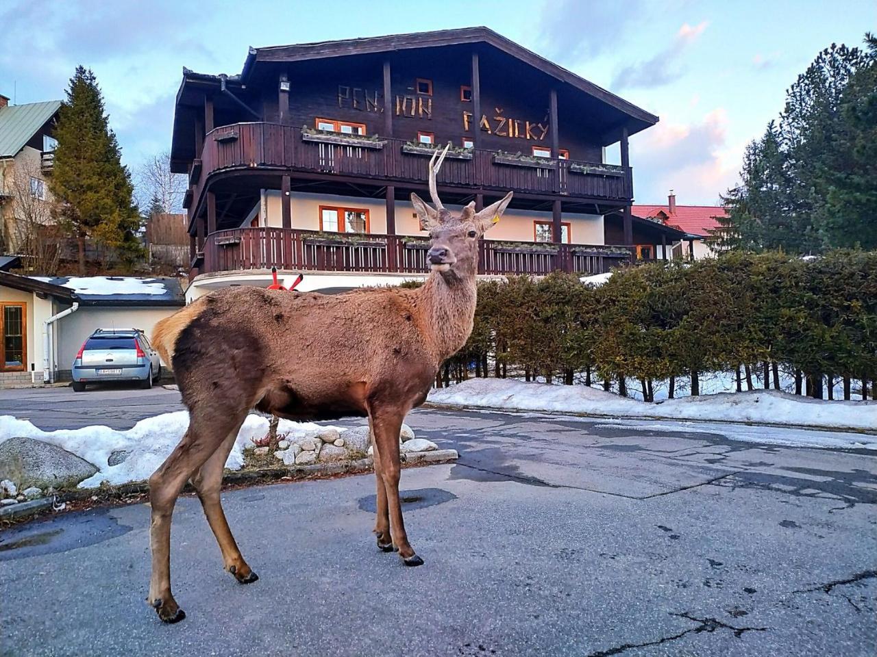 Penzion Pazicky Stara Lesna Bagian luar foto