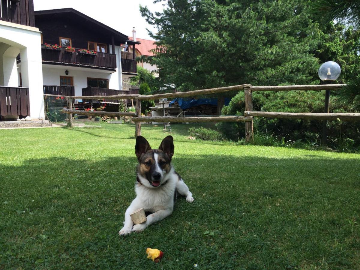 Penzion Pazicky Stara Lesna Bagian luar foto